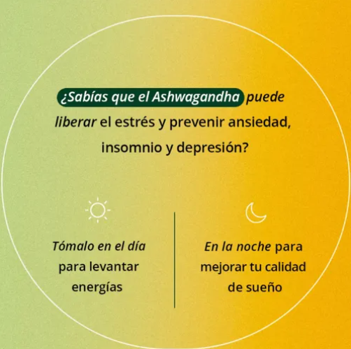 Ashwagandha Premium - Suplemento Natural para Energía y Bienestar